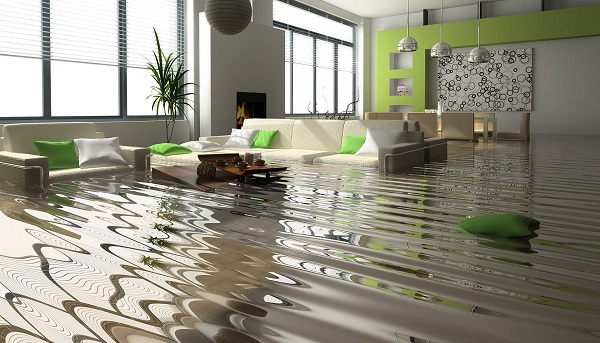 Anytime Water Damage Services for Restoration in Rosie, AR